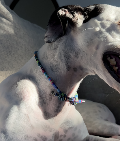Boho House Collar - Lagoon