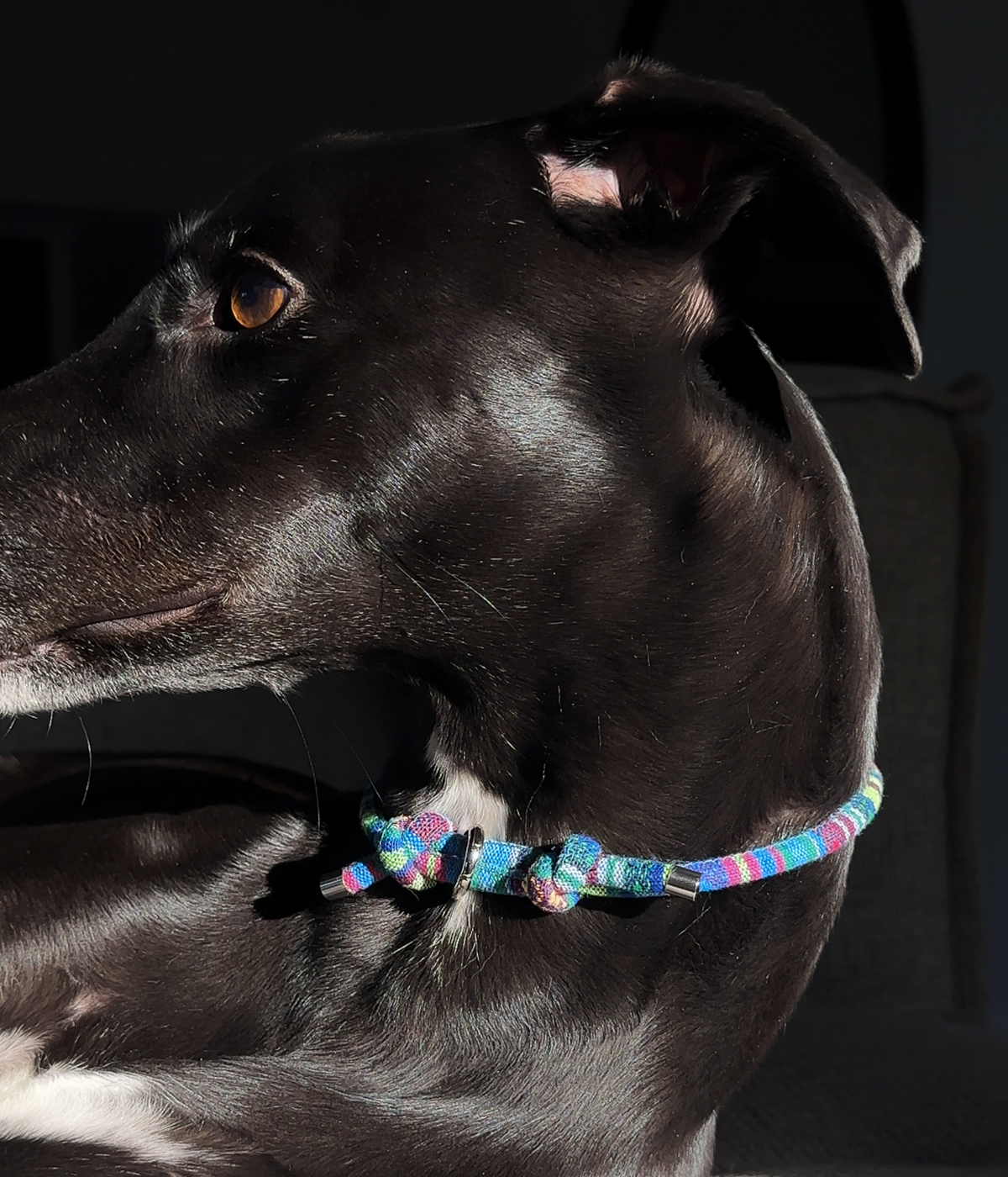 Boho House Collar - Lagoon