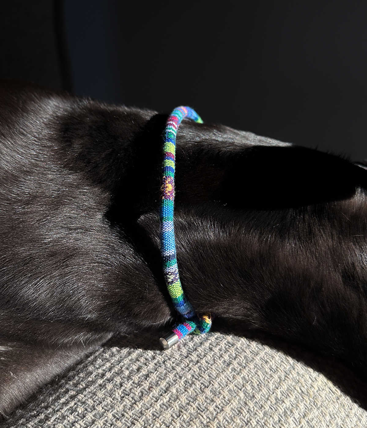 Boho House Collar - Lagoon