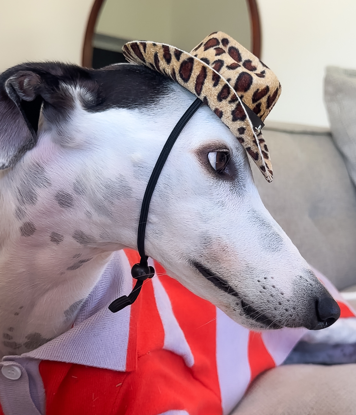 Cowboy Hat - Leopard Print