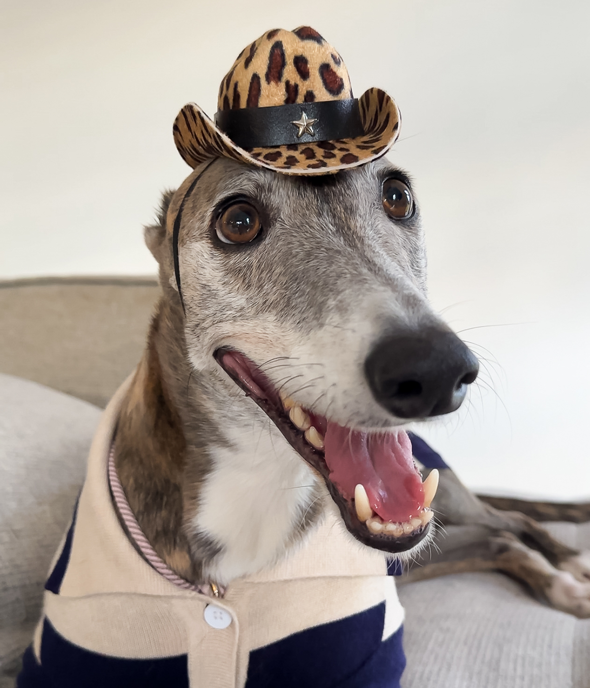 Cowboy Hat - Leopard Print