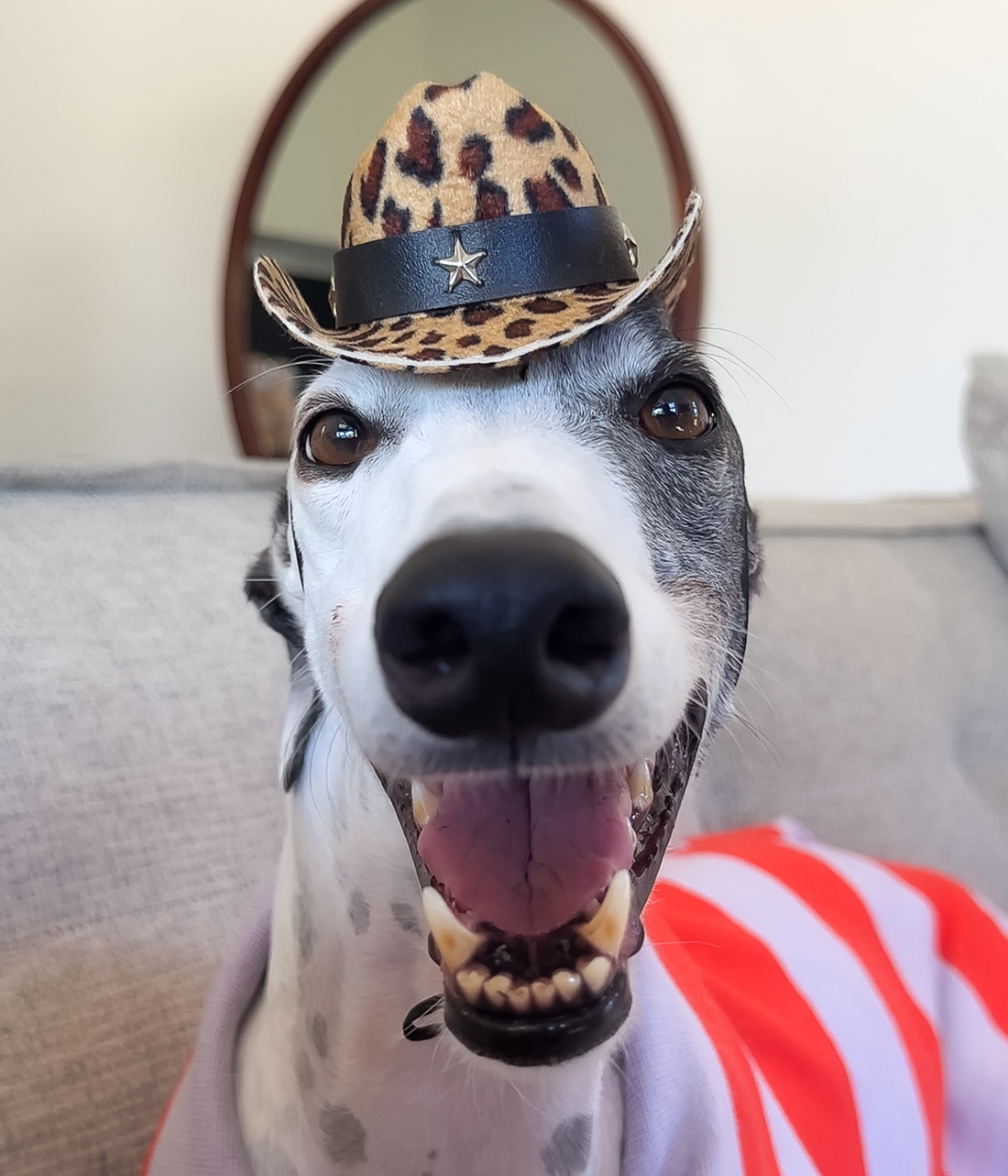 Cowboy Hat - Leopard Print
