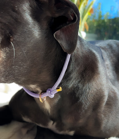 Waffle House Collar - Luna&