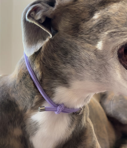 Waffle House Collar - Luna&
