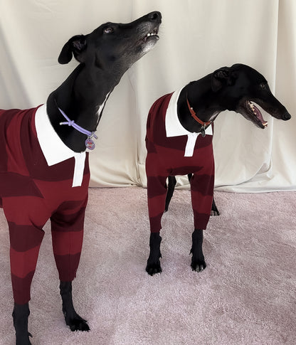 Maroons Polo