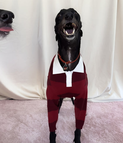 Maroons Polo