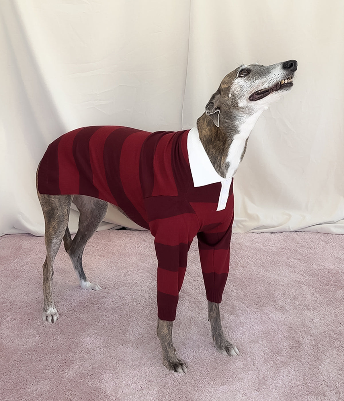 Maroons Polo