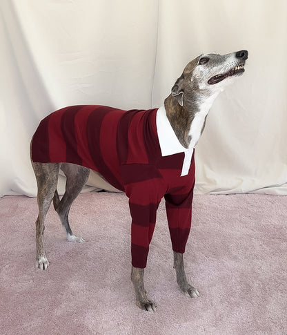 Maroons Polo