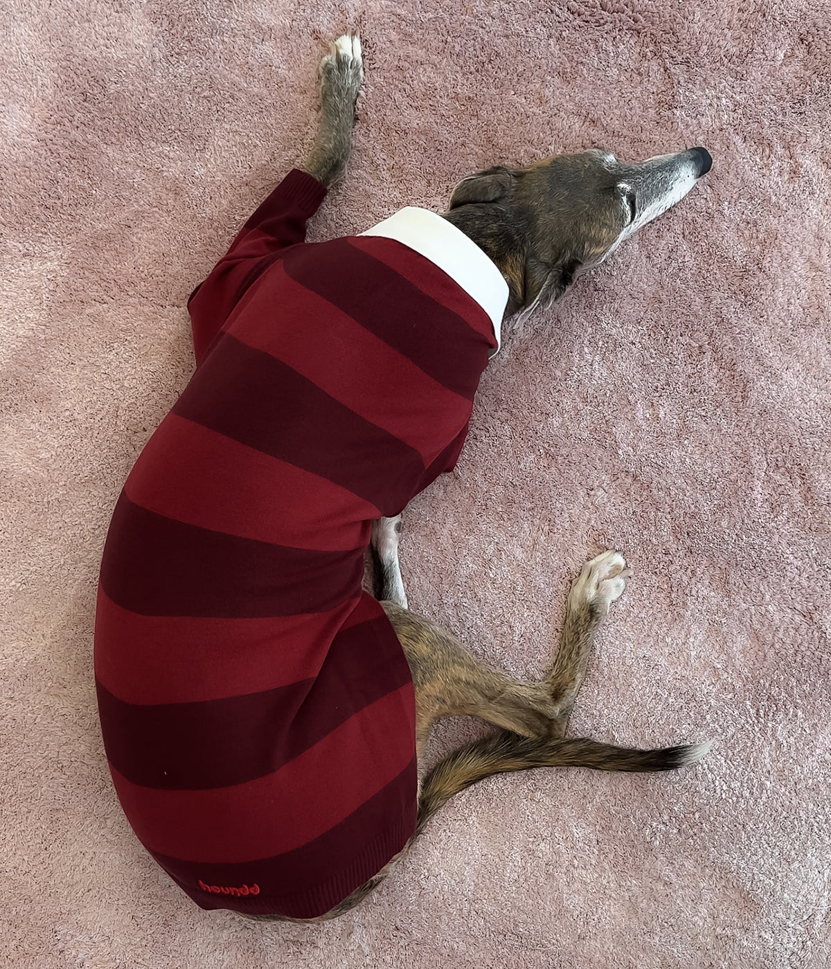Maroons Polo