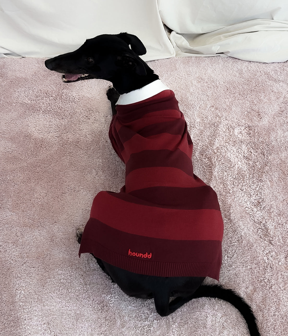 Maroons Polo