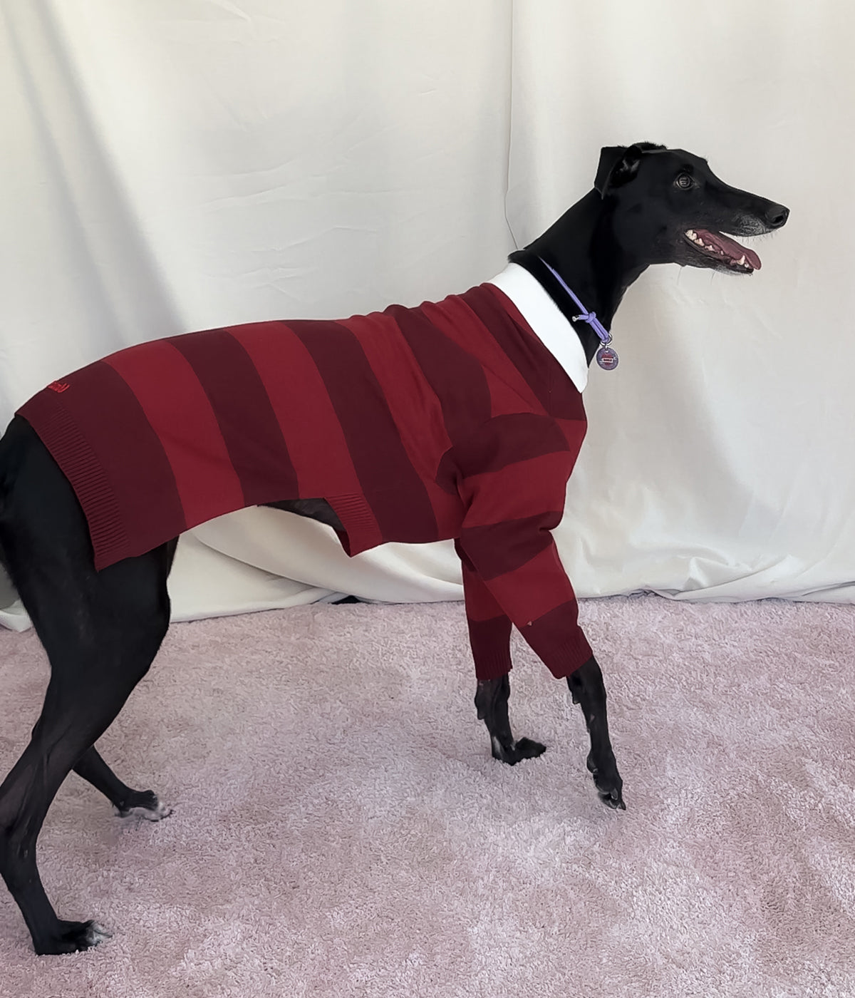 Maroons Polo