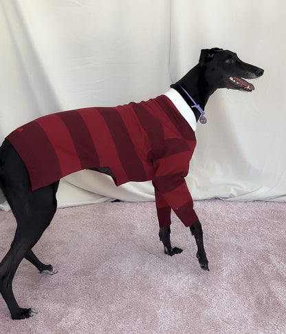 Maroons Polo