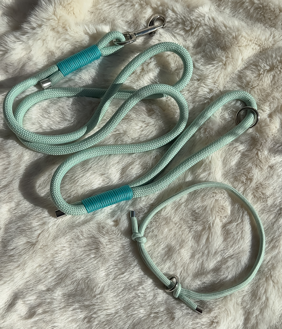 Rope Dog Lead