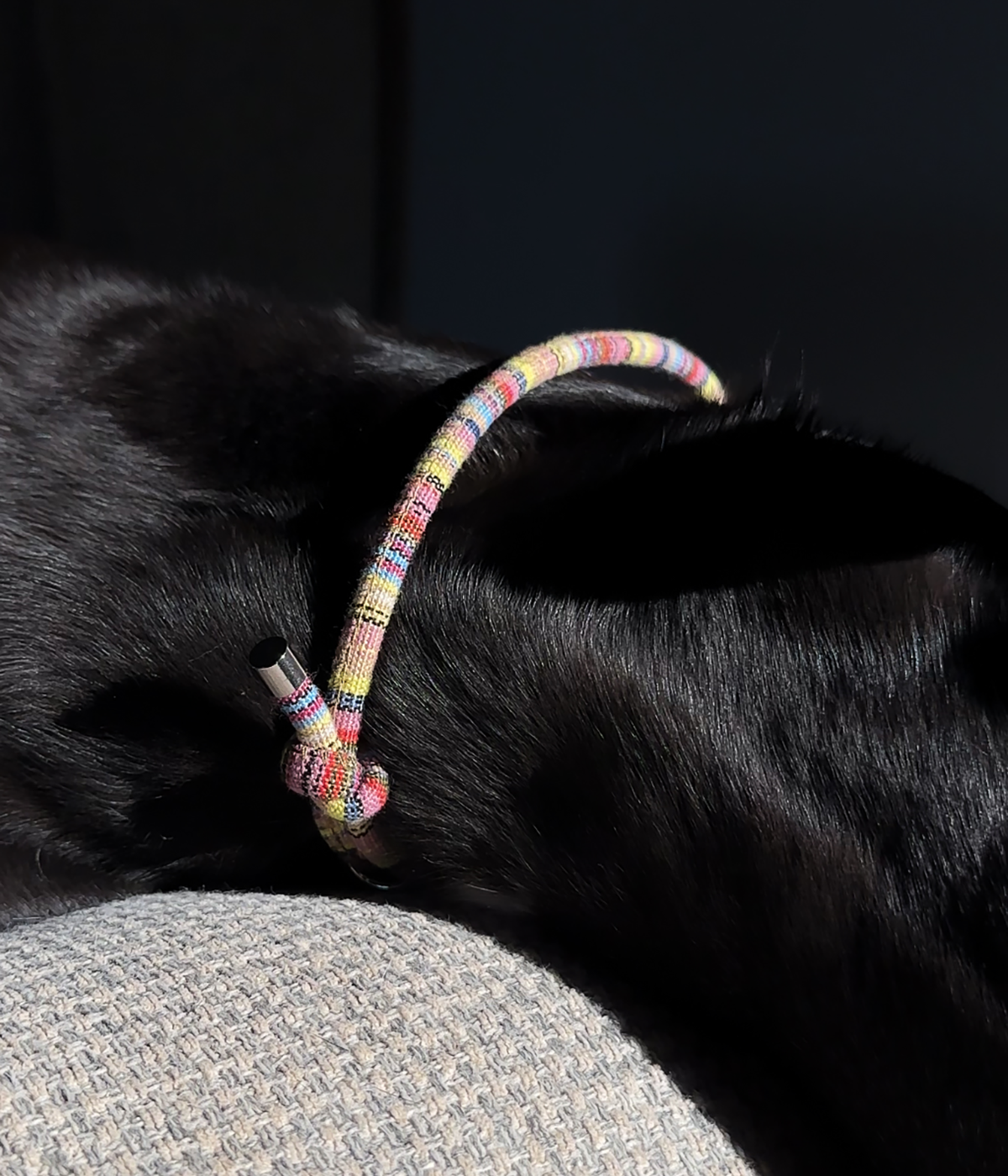 Boho House Collar - Meadow