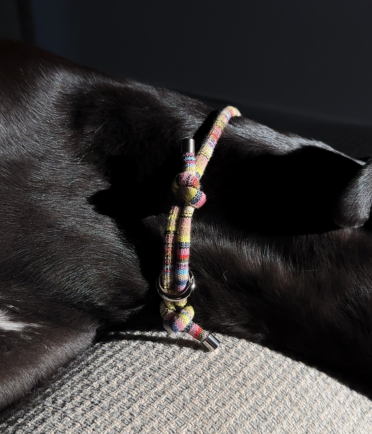 Boho House Collar - Meadow