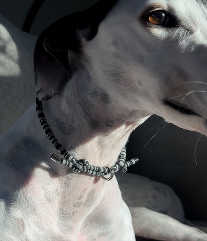 Boho House Collar - Midnight