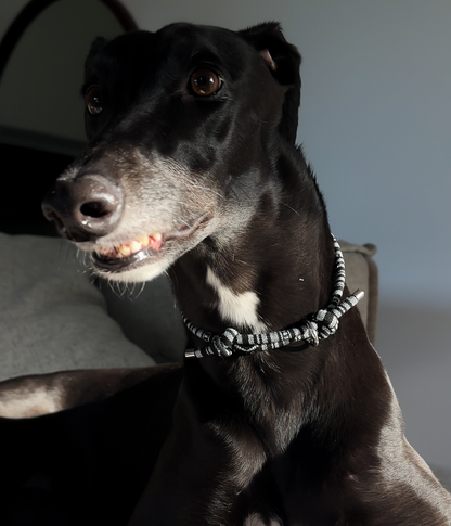 Boho House Collar - Midnight