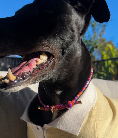 Mimi House Collar