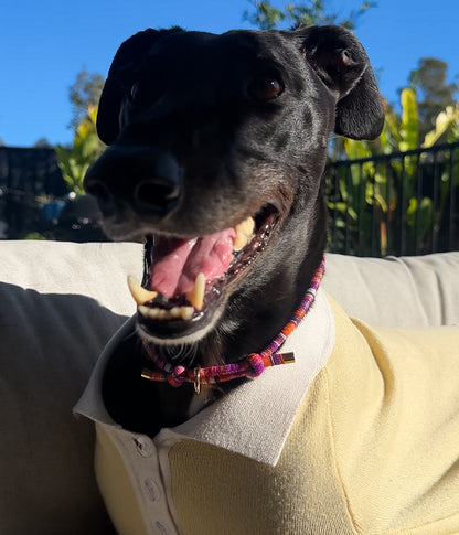 Mimi House Collar