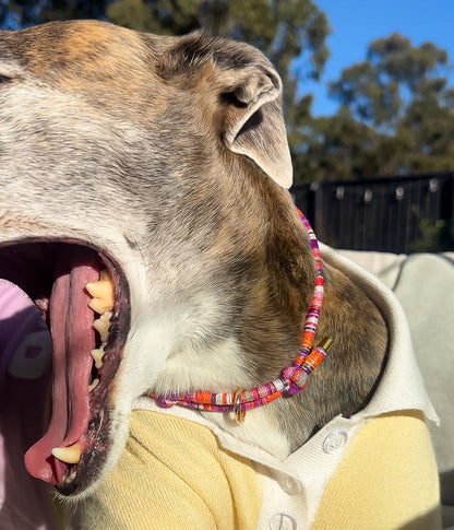 Mimi House Collar