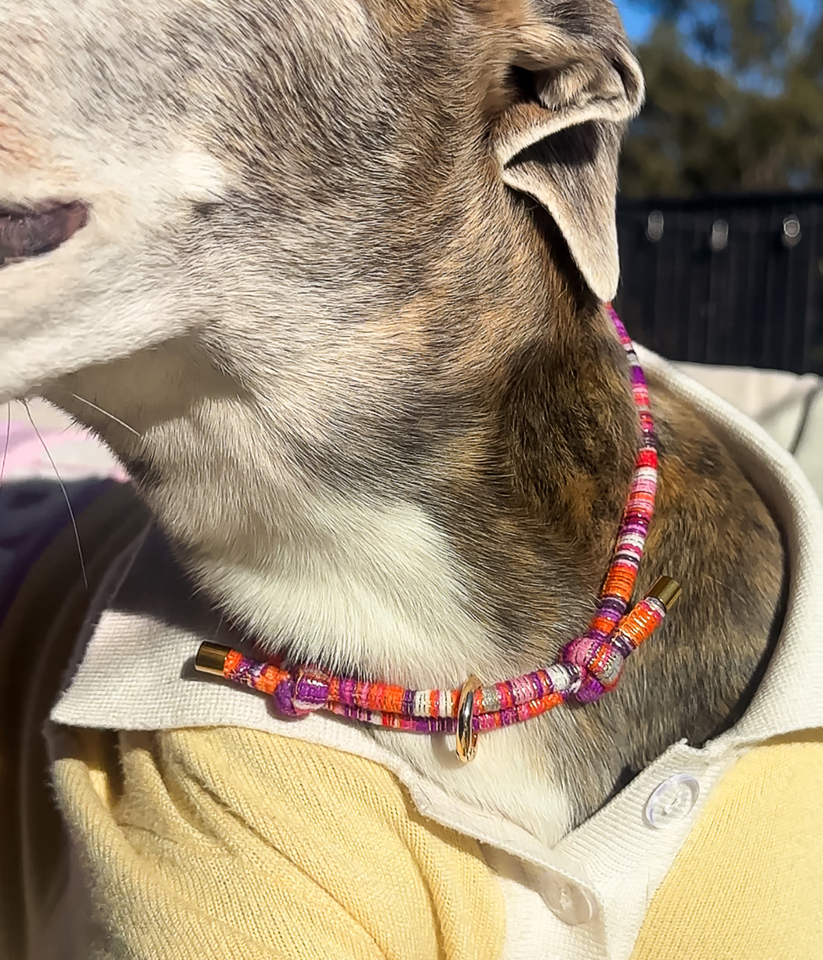 Mimi House Collar
