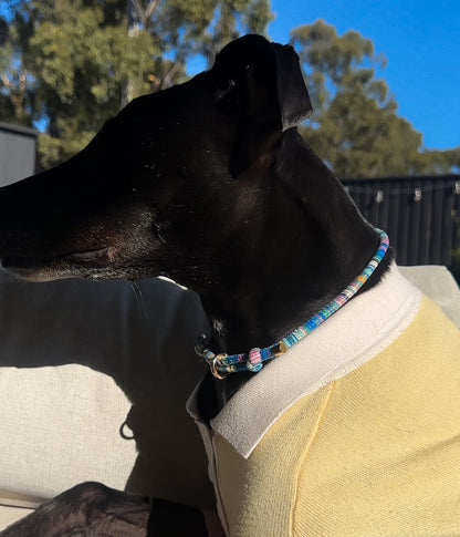 Murphy House Collar