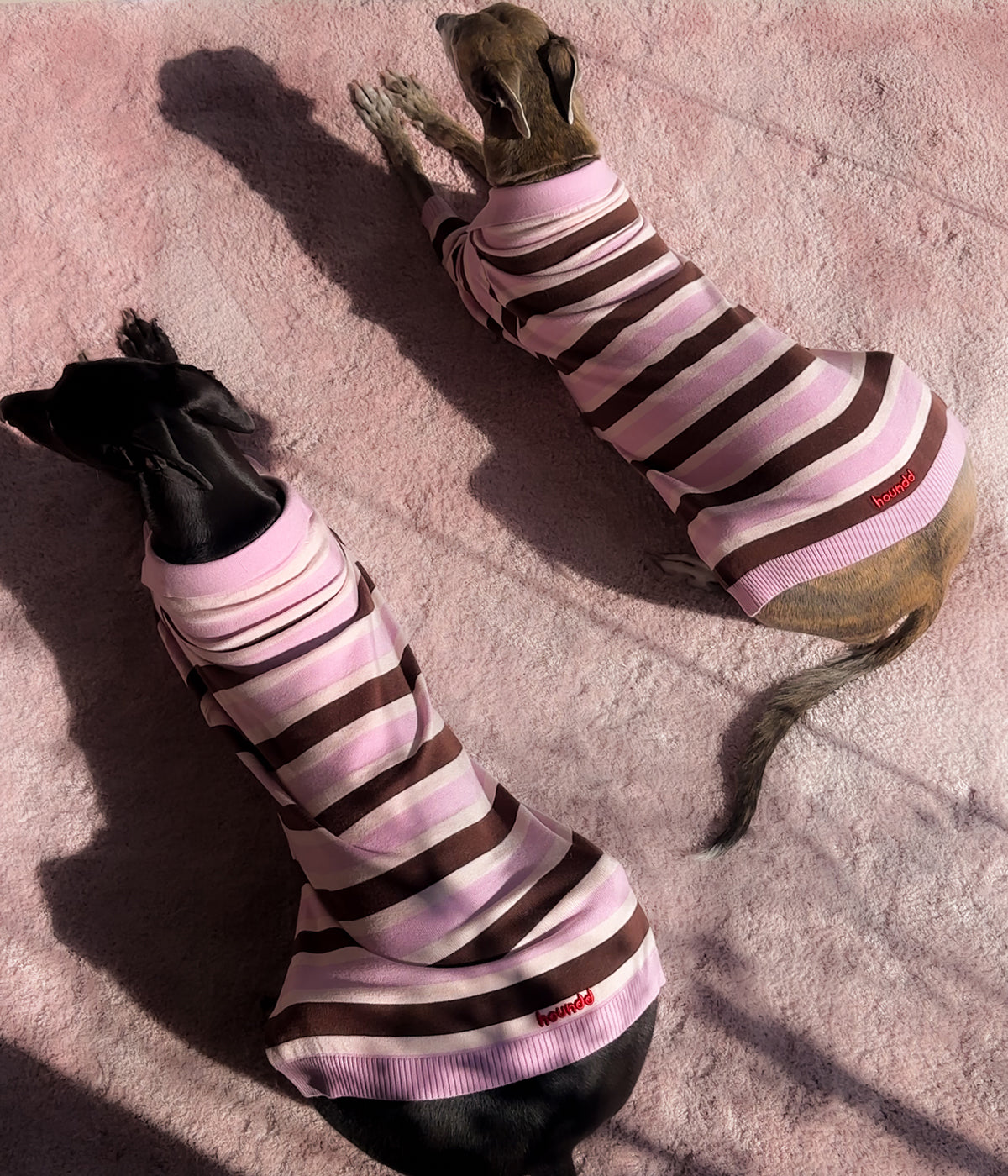 Neapolitan Polo - PREORDER