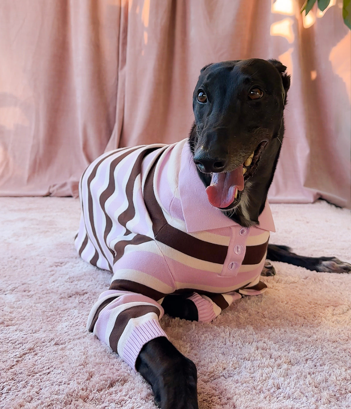 Neapolitan Polo - PREORDER