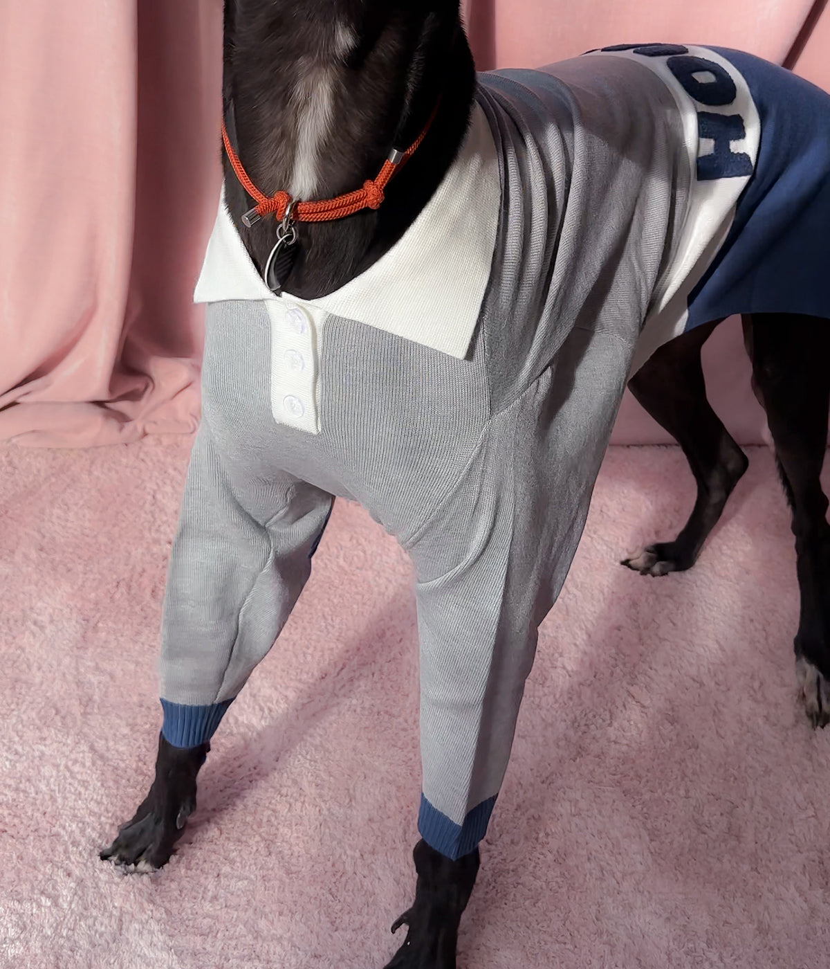 Off Campus Polo