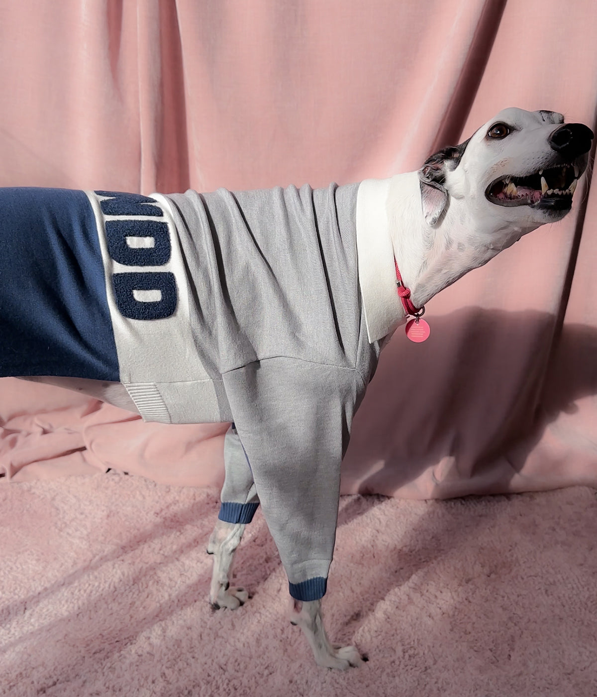 Off Campus Polo