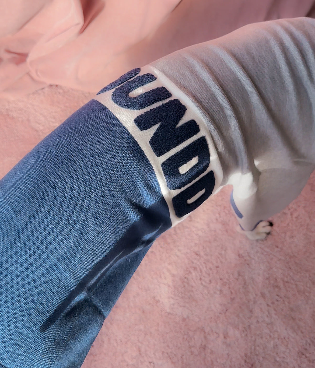 Off Campus Polo