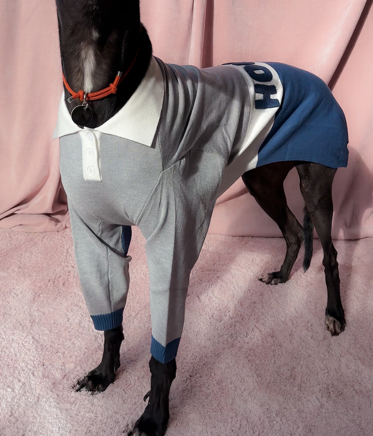 Off Campus Polo