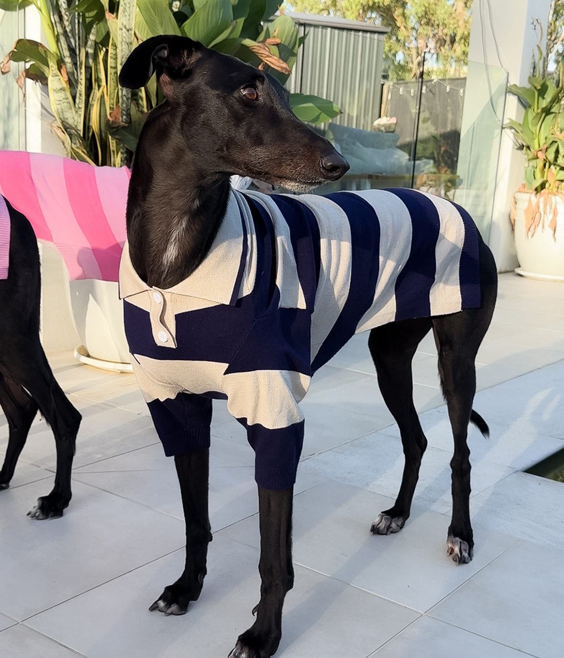 Polo Shirt - Old Money Navy