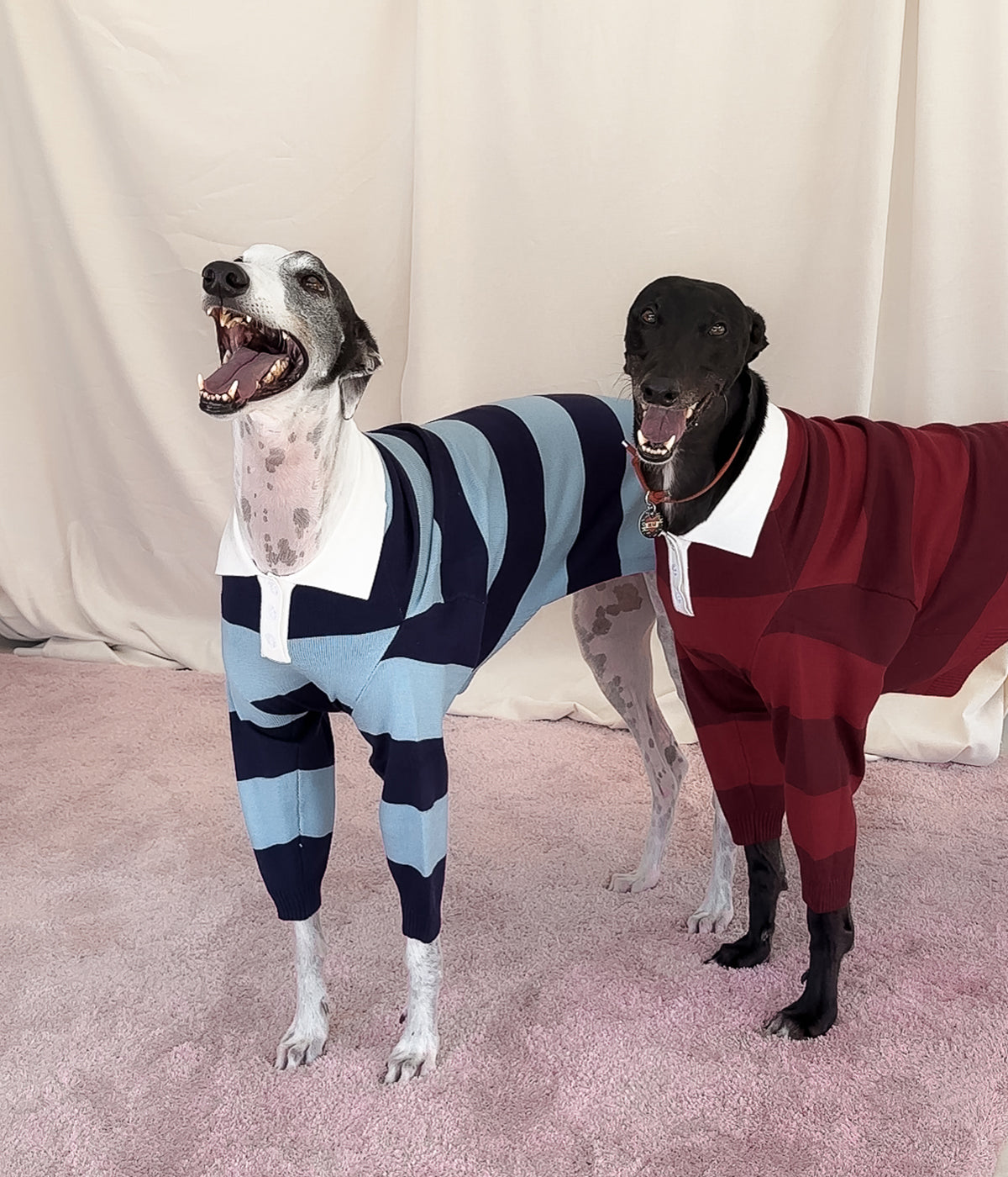 Maroons Polo