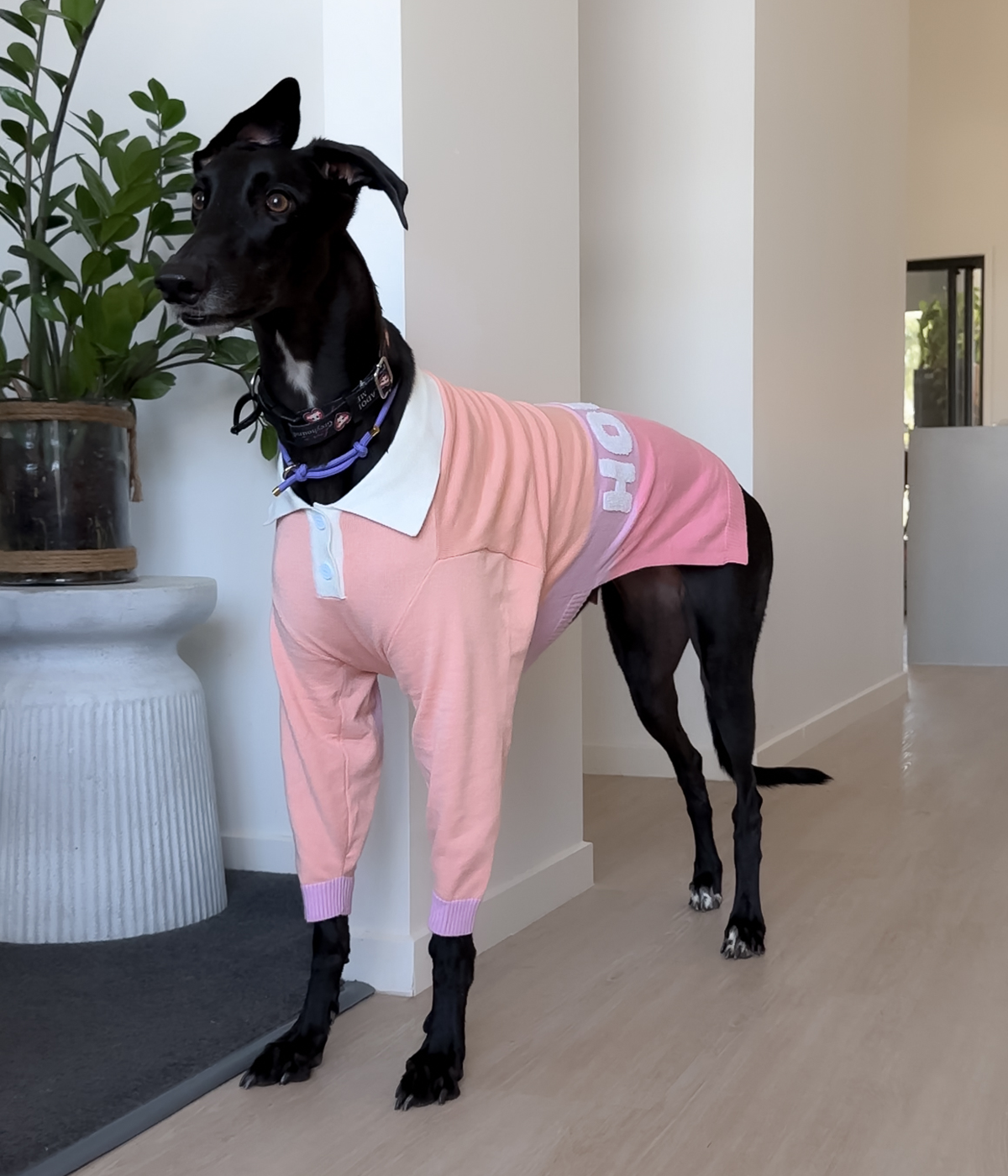 Peach Please Polo