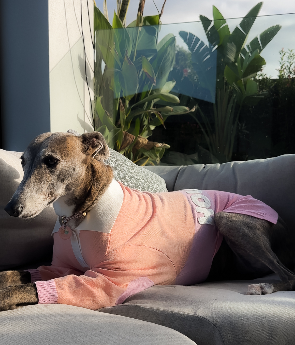 Peach Please Polo