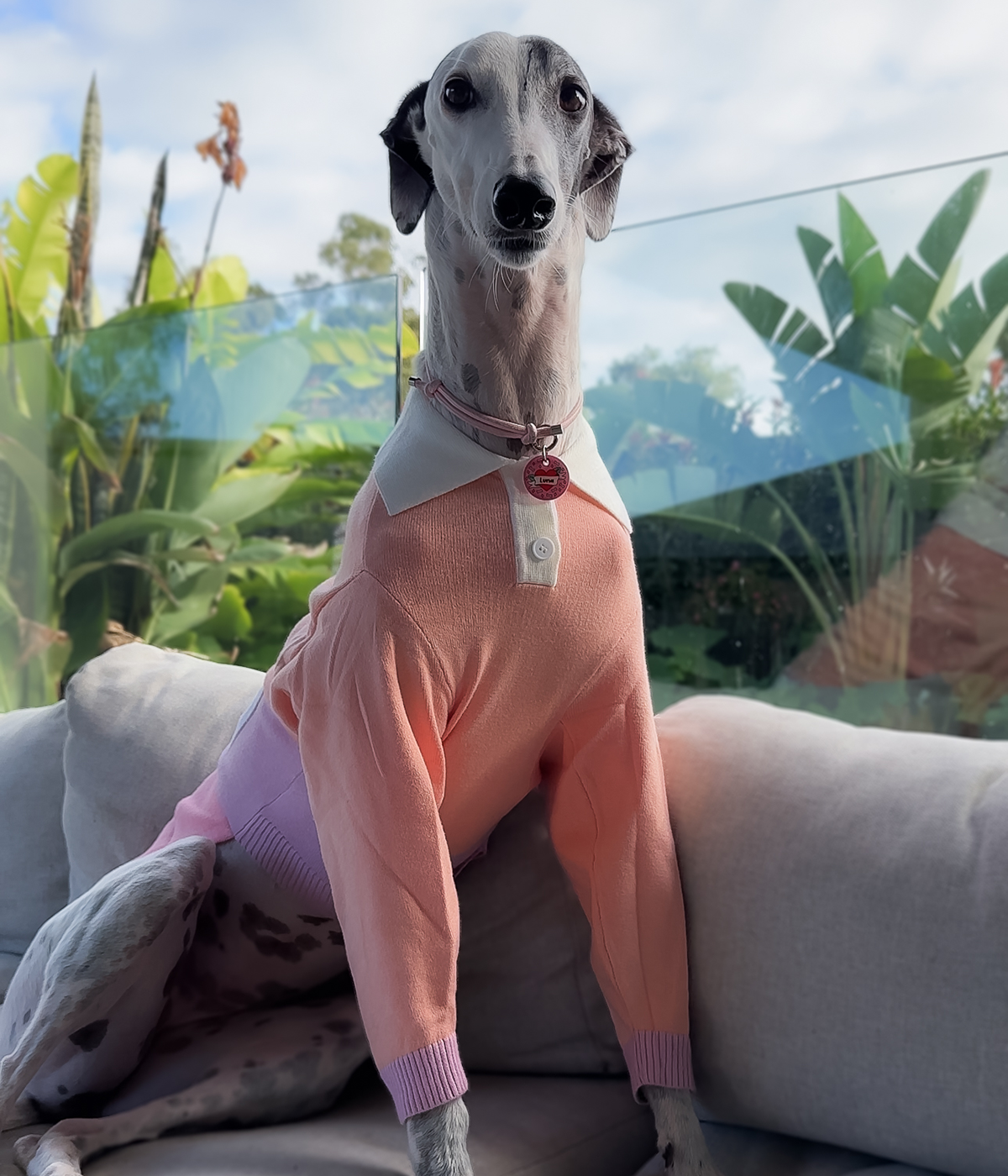 Peach Please Polo