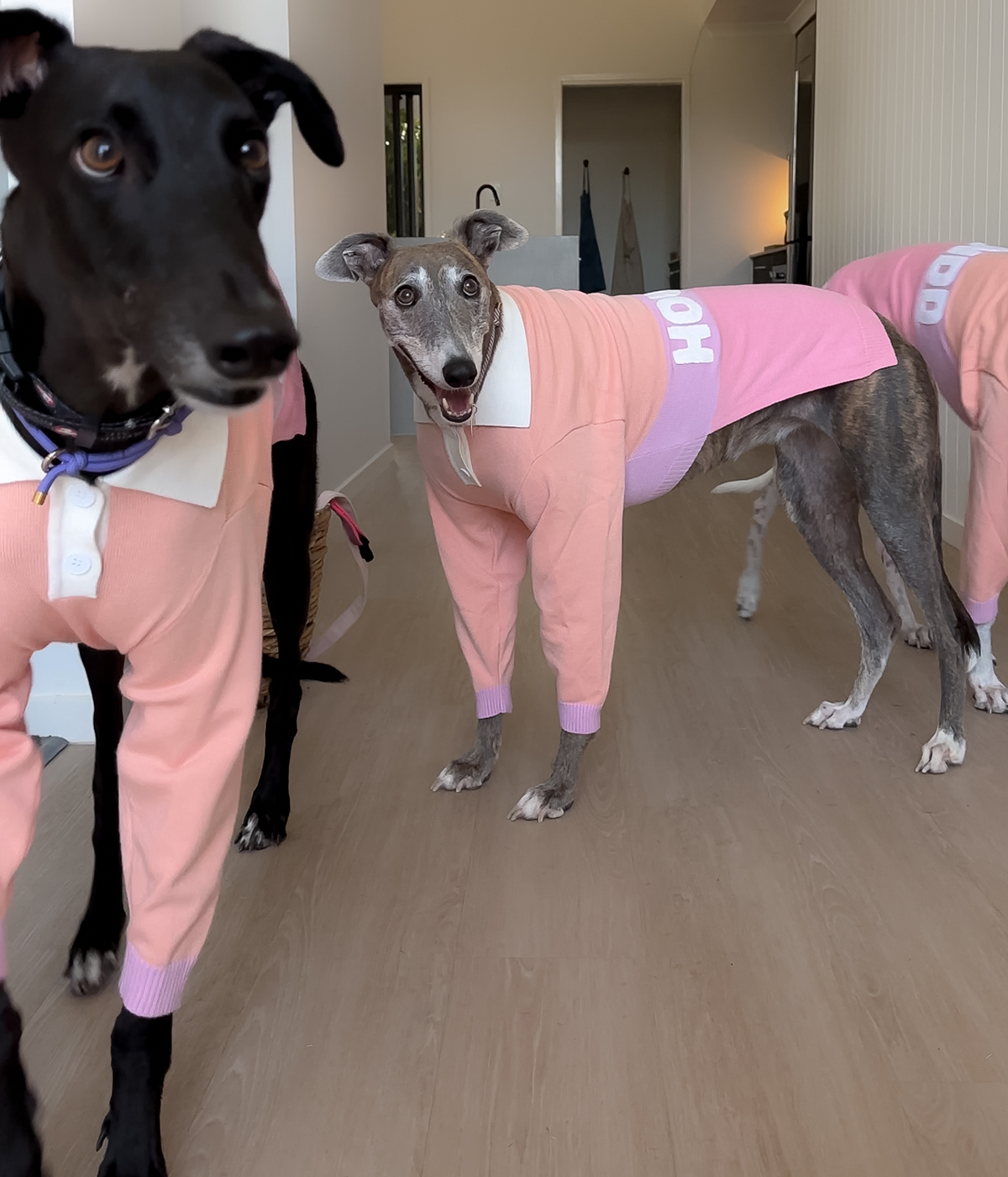 Peach Please Polo