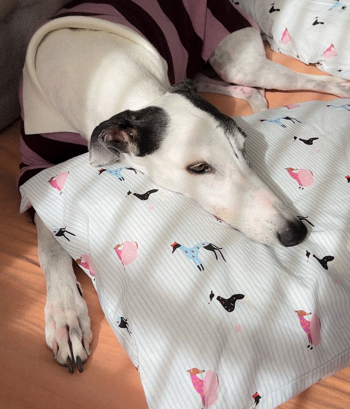 Cotton Pillowcase Set - Houndd Print