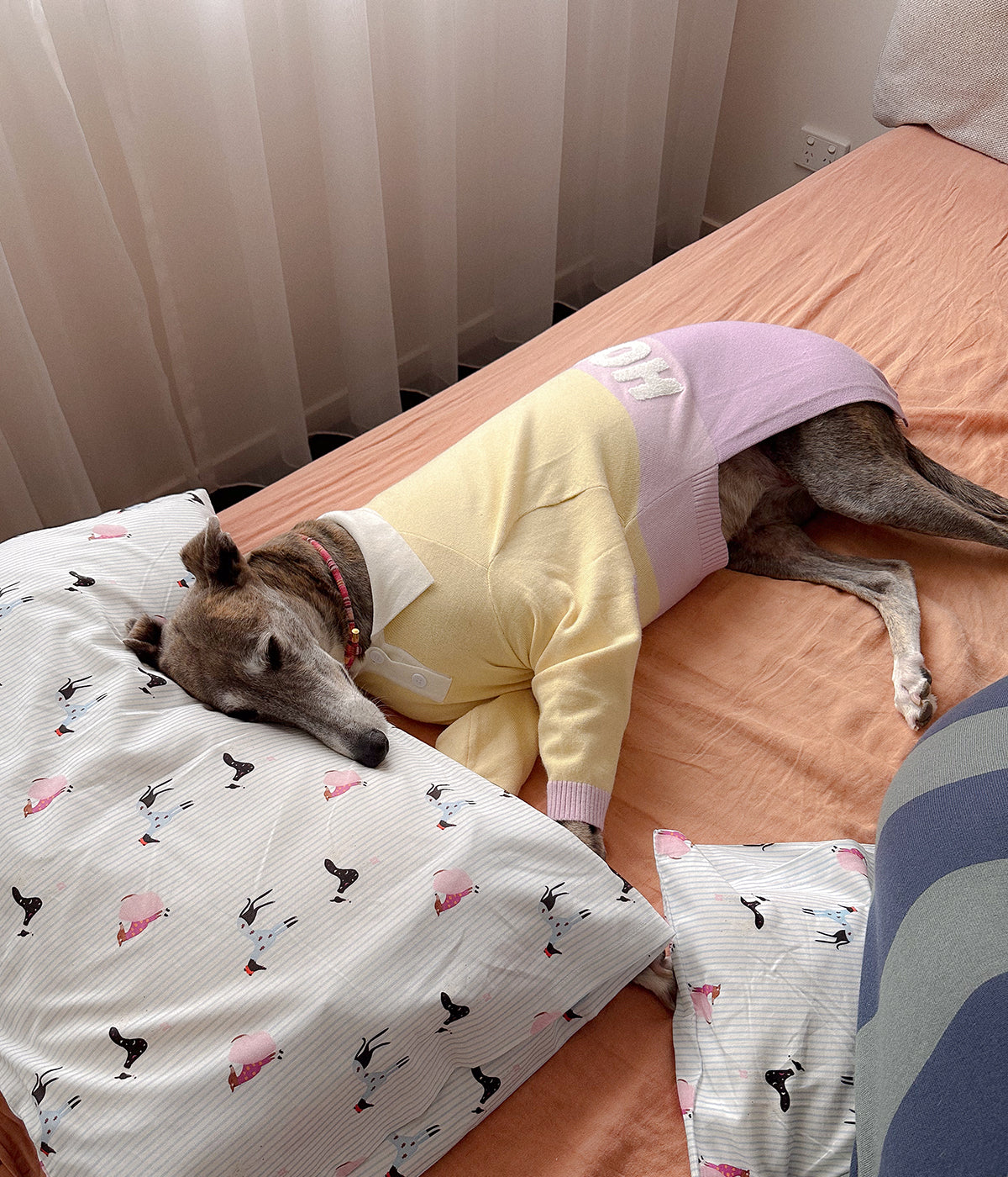 Cotton Pillowcase Set - Houndd Print