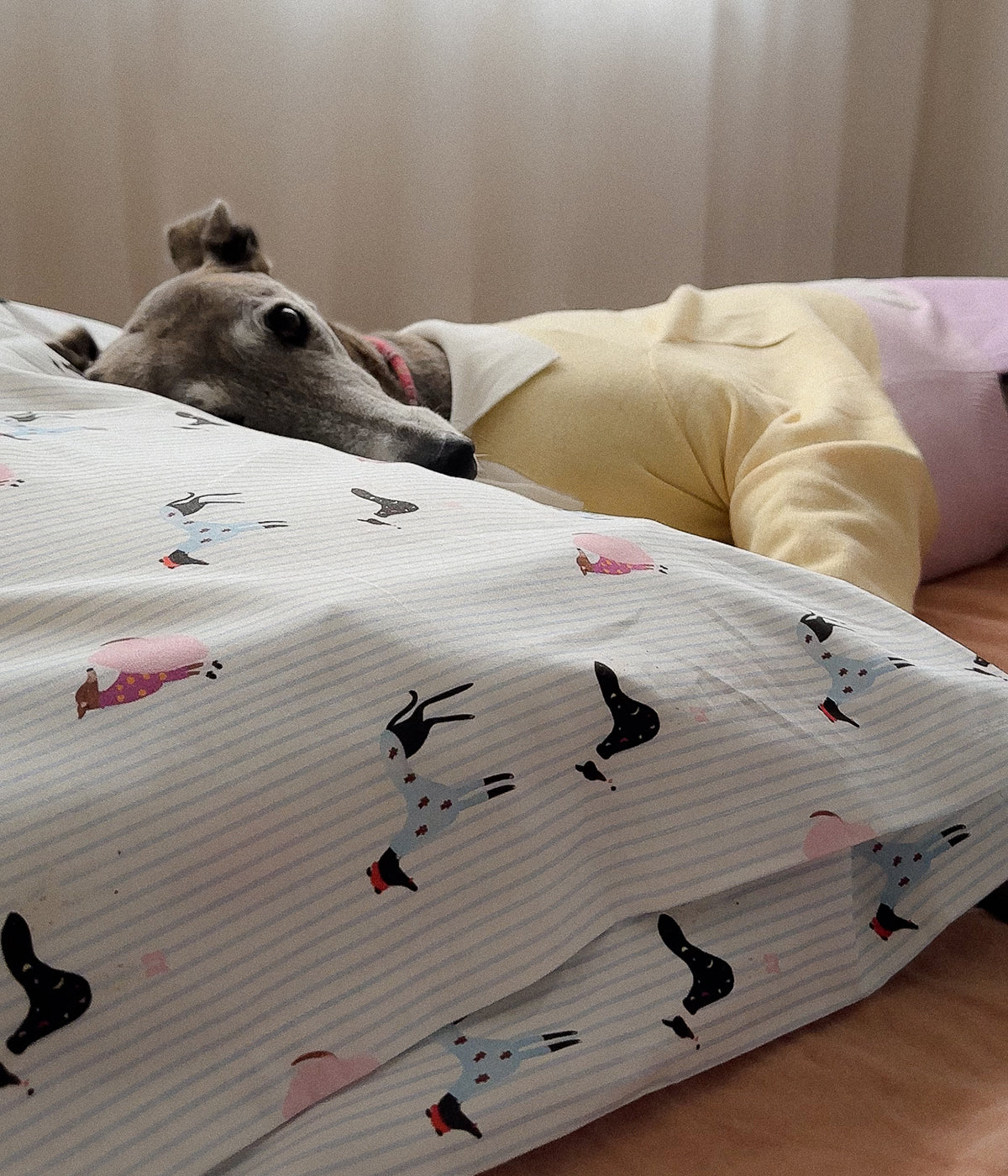 Cotton Pillowcase Set - Houndd Print