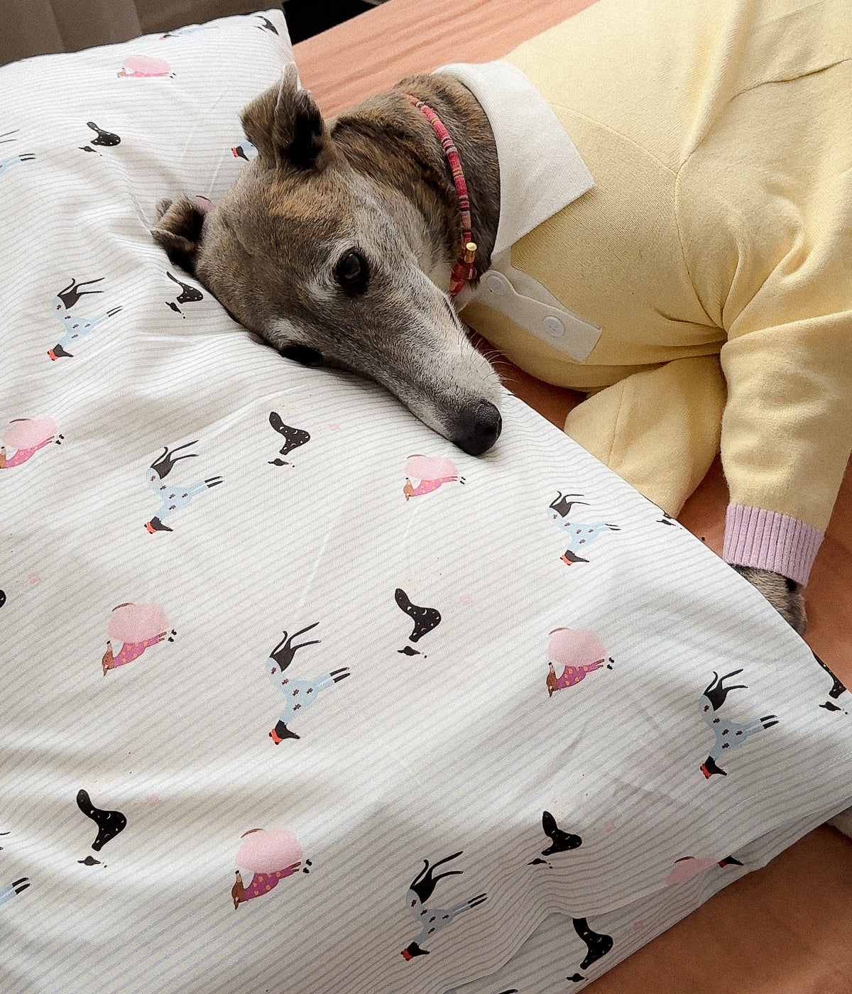 Cotton Pillowcase Set - Houndd Print