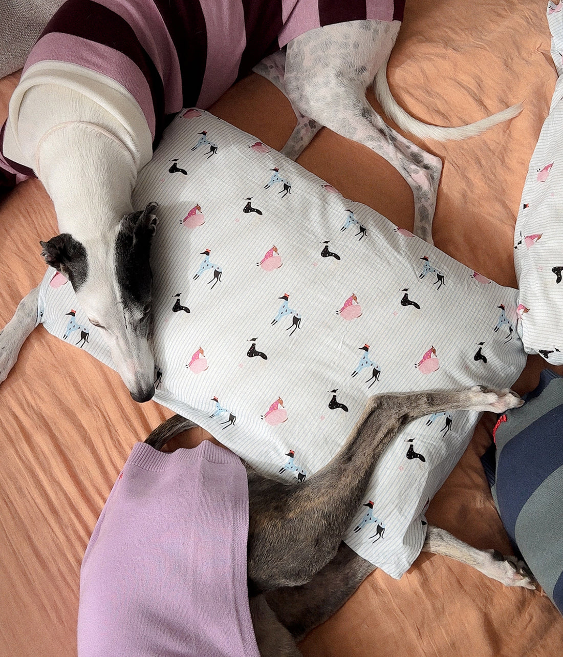 Cotton Pillowcase Set - Houndd Print