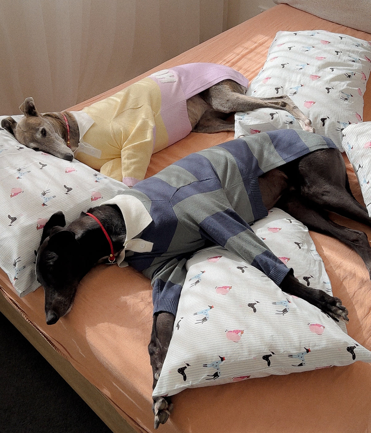Cotton Pillowcase Set - Houndd Print