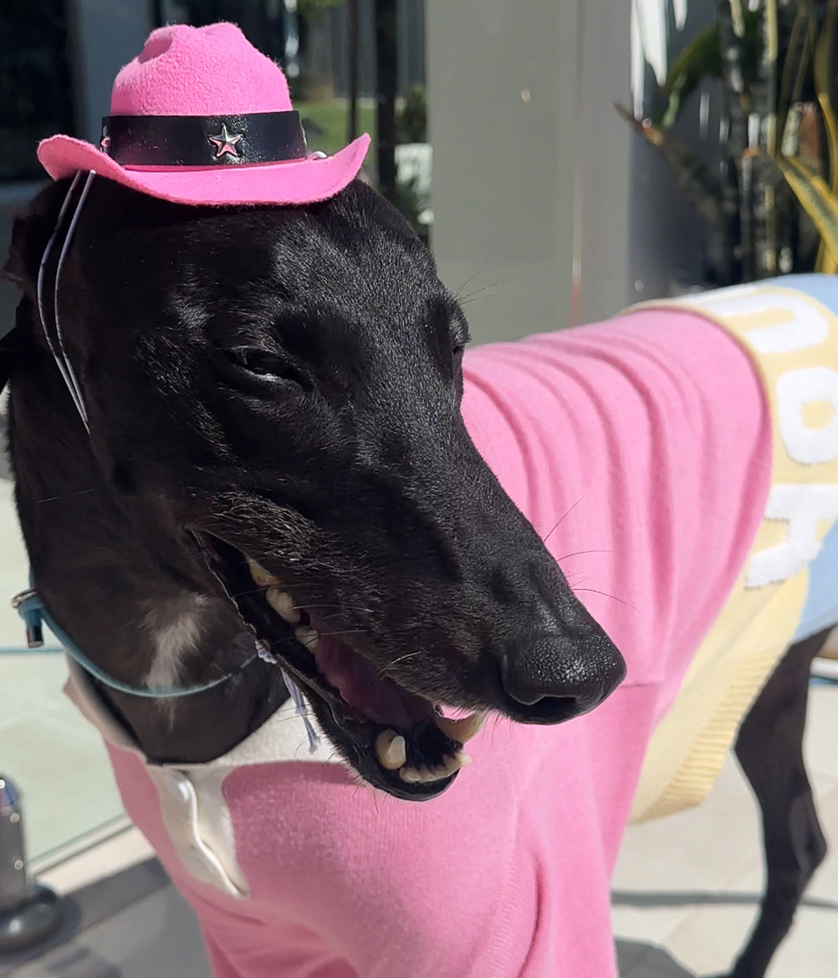Cowboy Hat - Pink