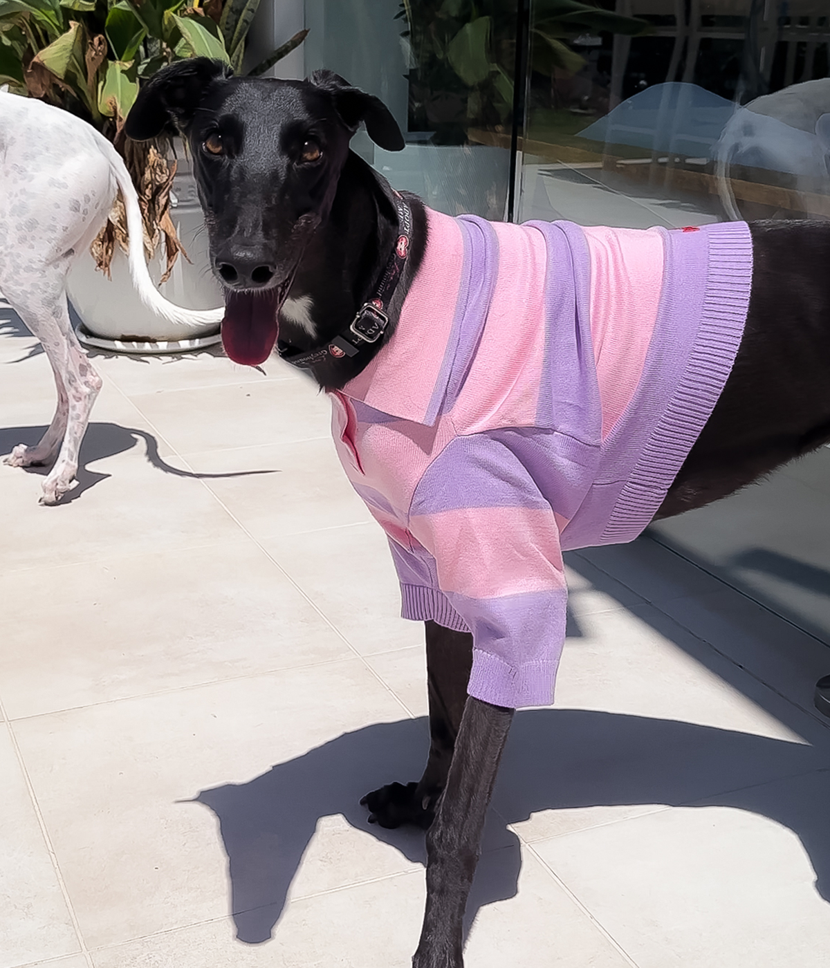 Polo Crop Top - Dreamhouse Pink