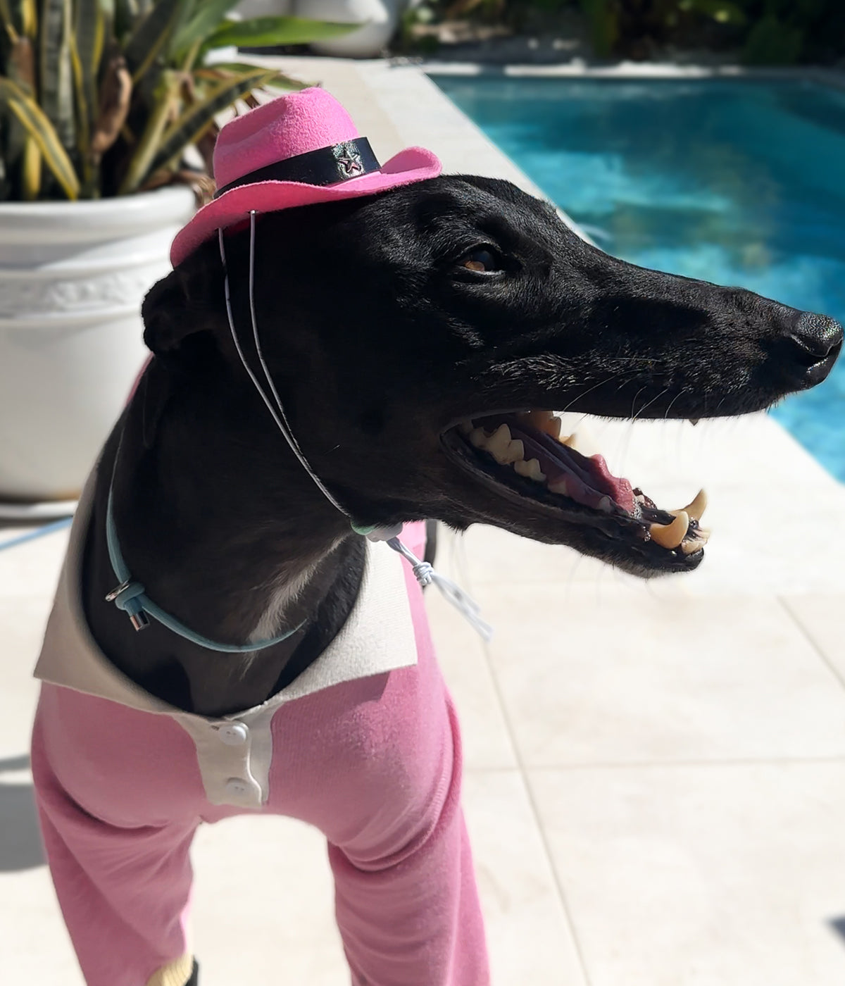 Cowboy Hat - Pink