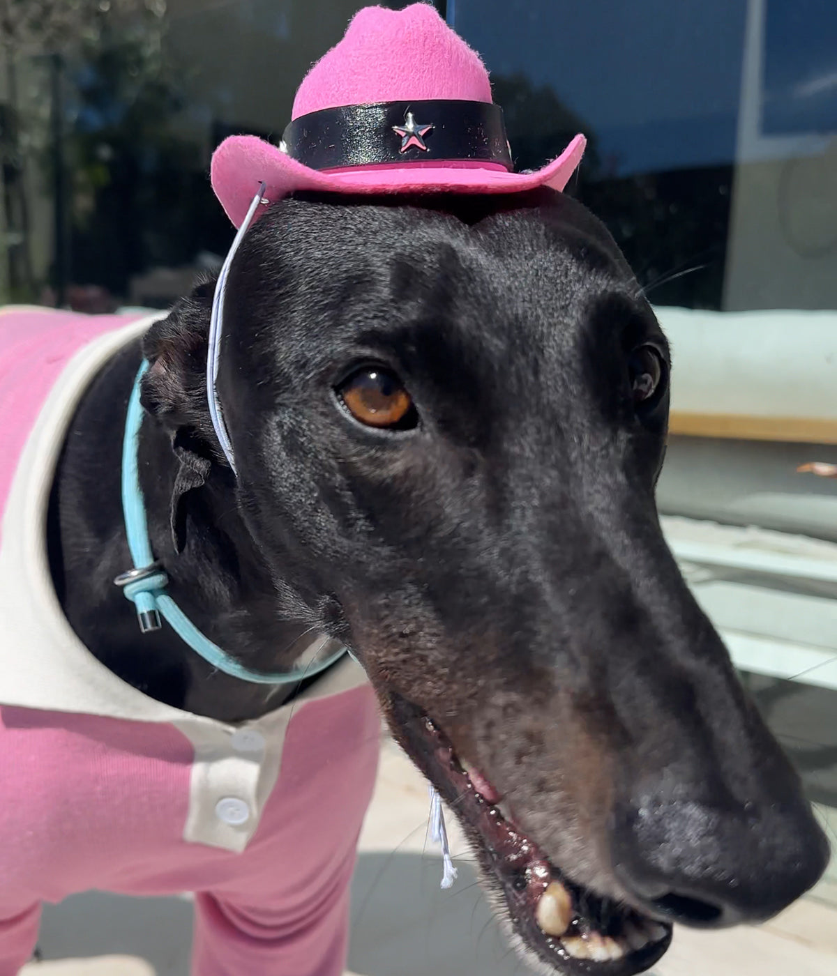 Cowboy Hat - Pink