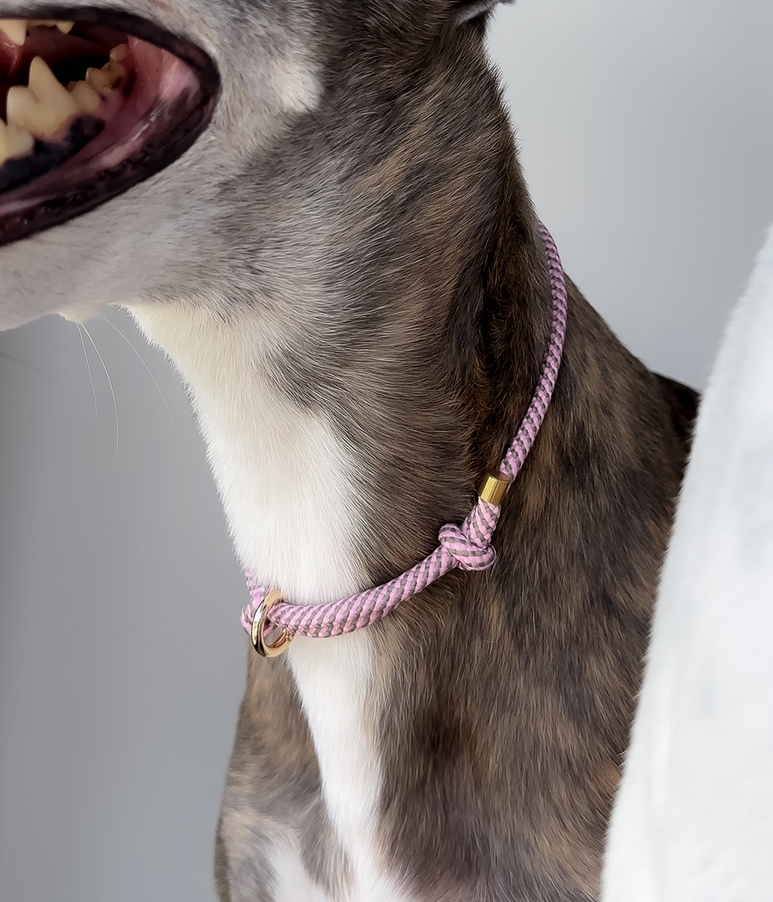 House Collar - Pink Marble