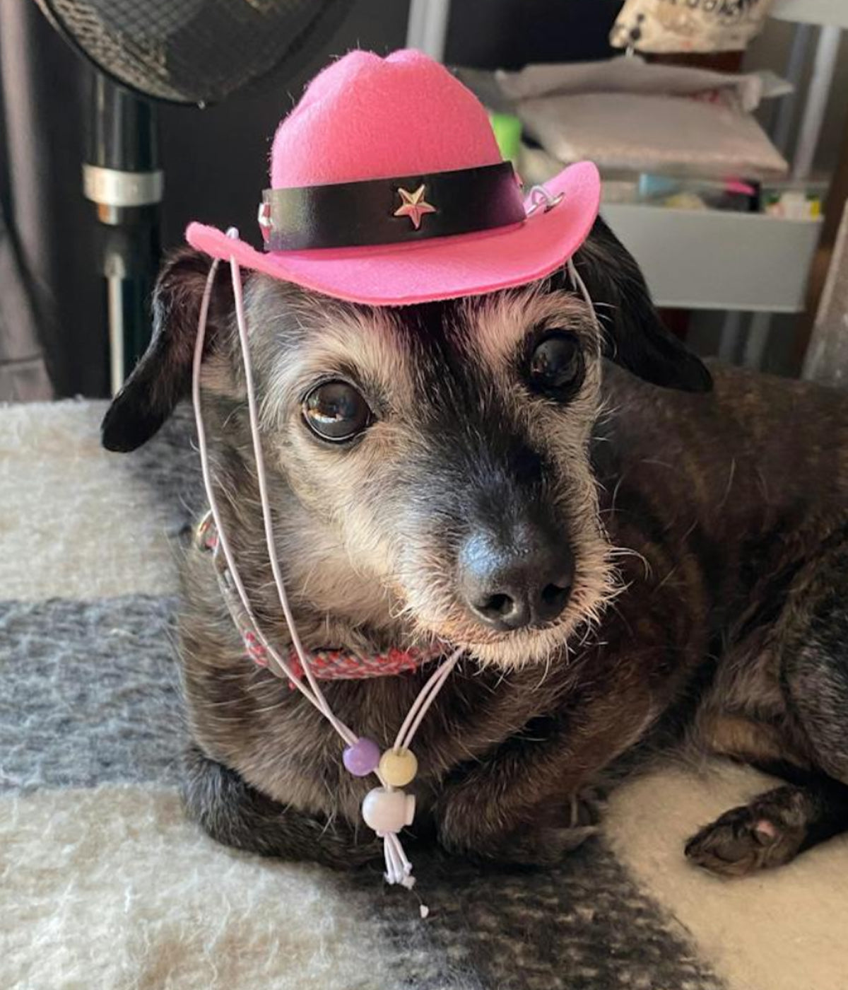Cowboy Hat - Pink